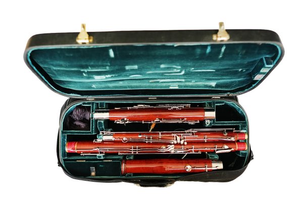 instrument in case